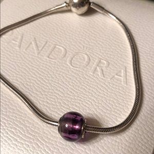 Pandora Charm Bracelet